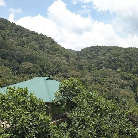 Gorilla Hills Eco-Lodge Kisoro Eksteriør billede
