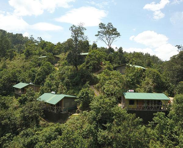 Gorilla Hills Eco-Lodge Kisoro Eksteriør billede