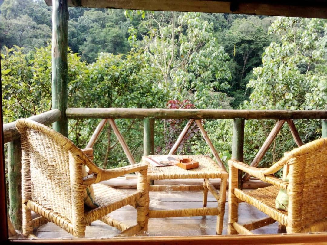 Gorilla Hills Eco-Lodge Kisoro Eksteriør billede