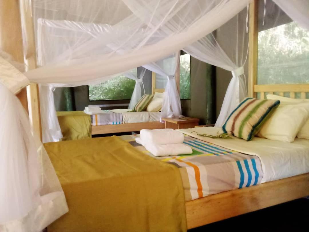 Gorilla Hills Eco-Lodge Kisoro Eksteriør billede