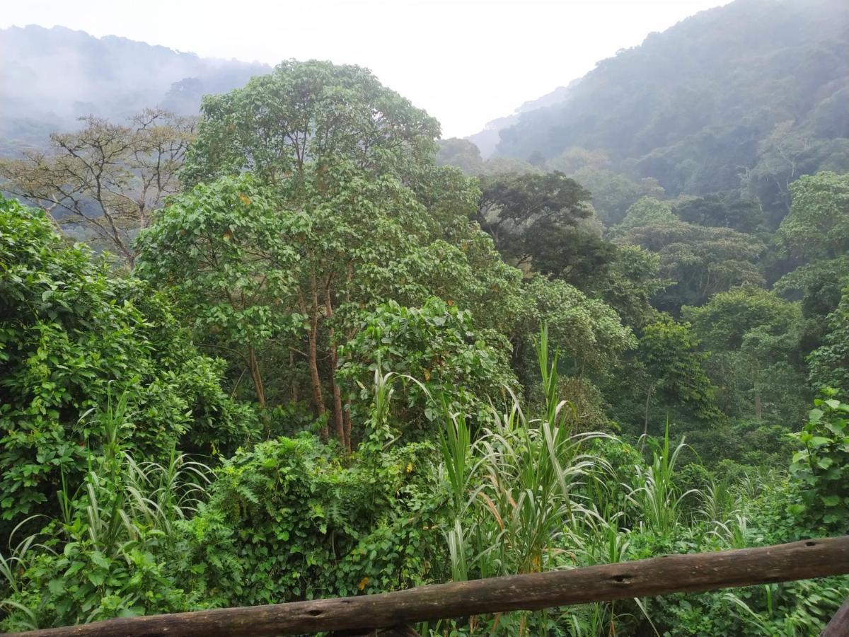 Gorilla Hills Eco-Lodge Kisoro Eksteriør billede