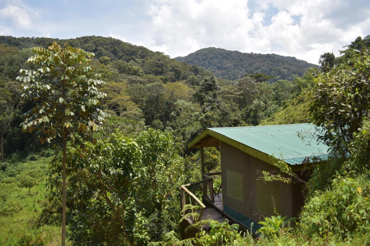 Gorilla Hills Eco-Lodge Kisoro Eksteriør billede