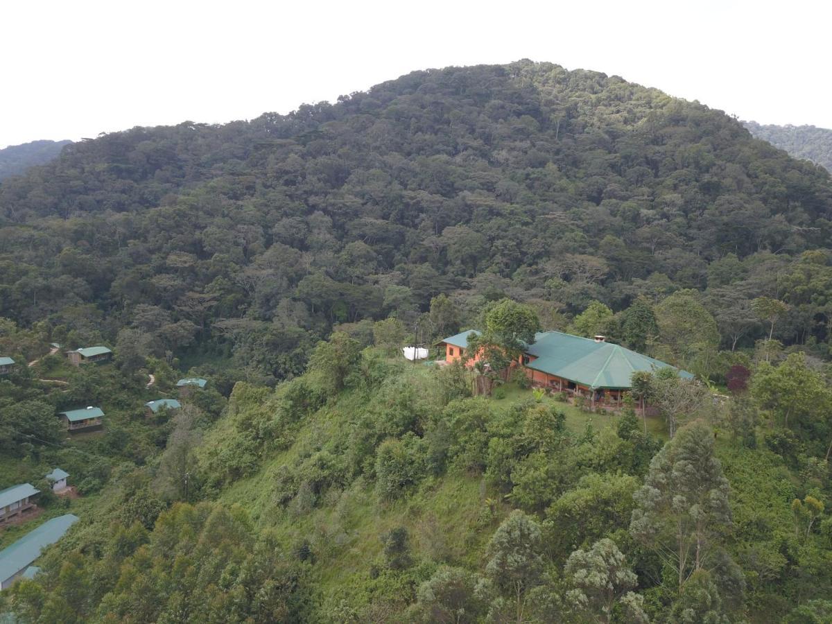Gorilla Hills Eco-Lodge Kisoro Eksteriør billede